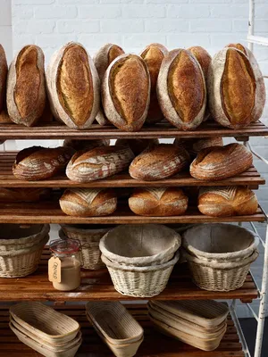 Sapore Oracolo -ruishapanraski