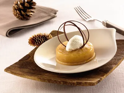 Whippak -kasvirasvaseos